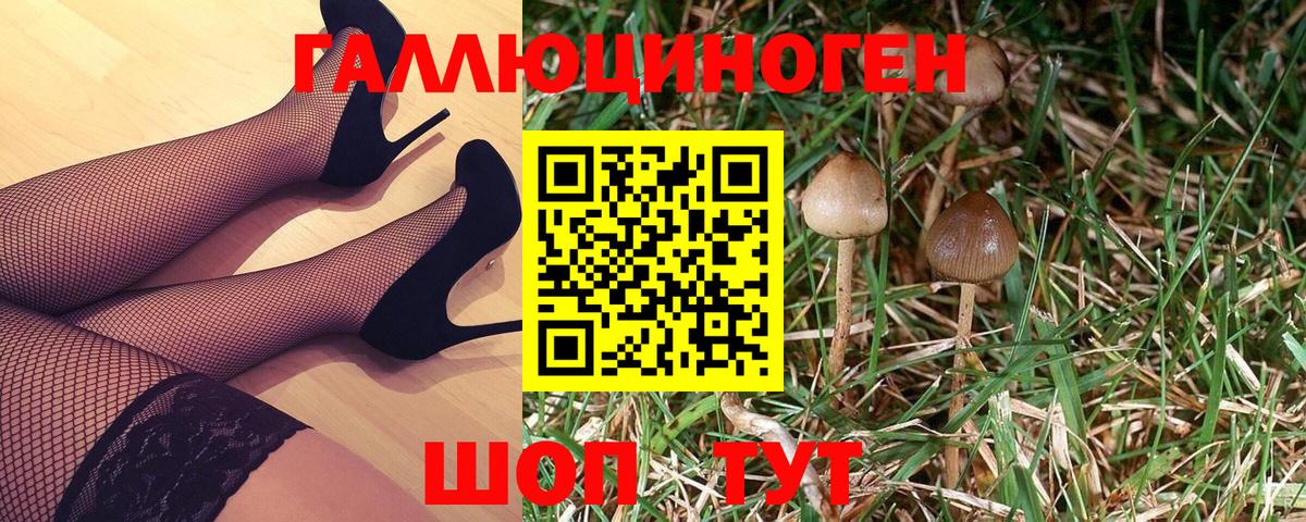 Галлюциногенные грибы Psilocybine cubensis Бутурлиновка