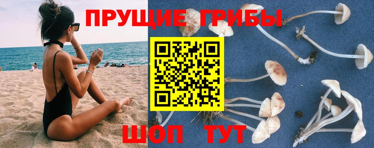 Бутурлиновка  Псилоцибиновые грибы ЛСД  Вход с VPN  Псилоцибиновые грибы GOLDEN TEACHER 